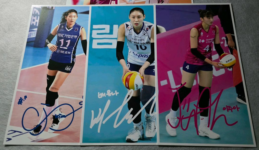 [이벤트] 여자배구 | 스카우팅 리포트 김수지 배유나 이주아 이미지