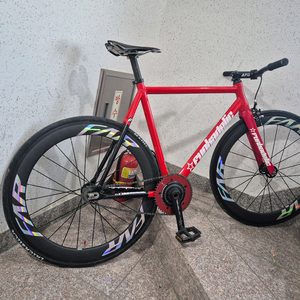 메이저스케일 펑카델릭 픽시 급처 이미지