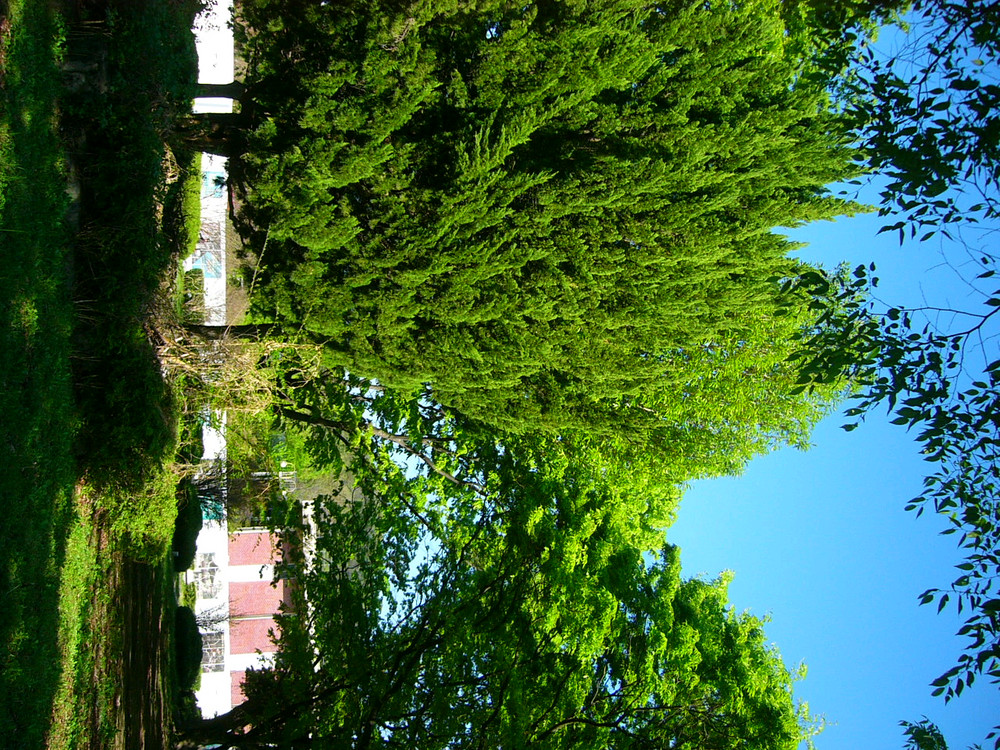 파나소닉 루믹스 DMC-F1 빈티지 디카 이미지