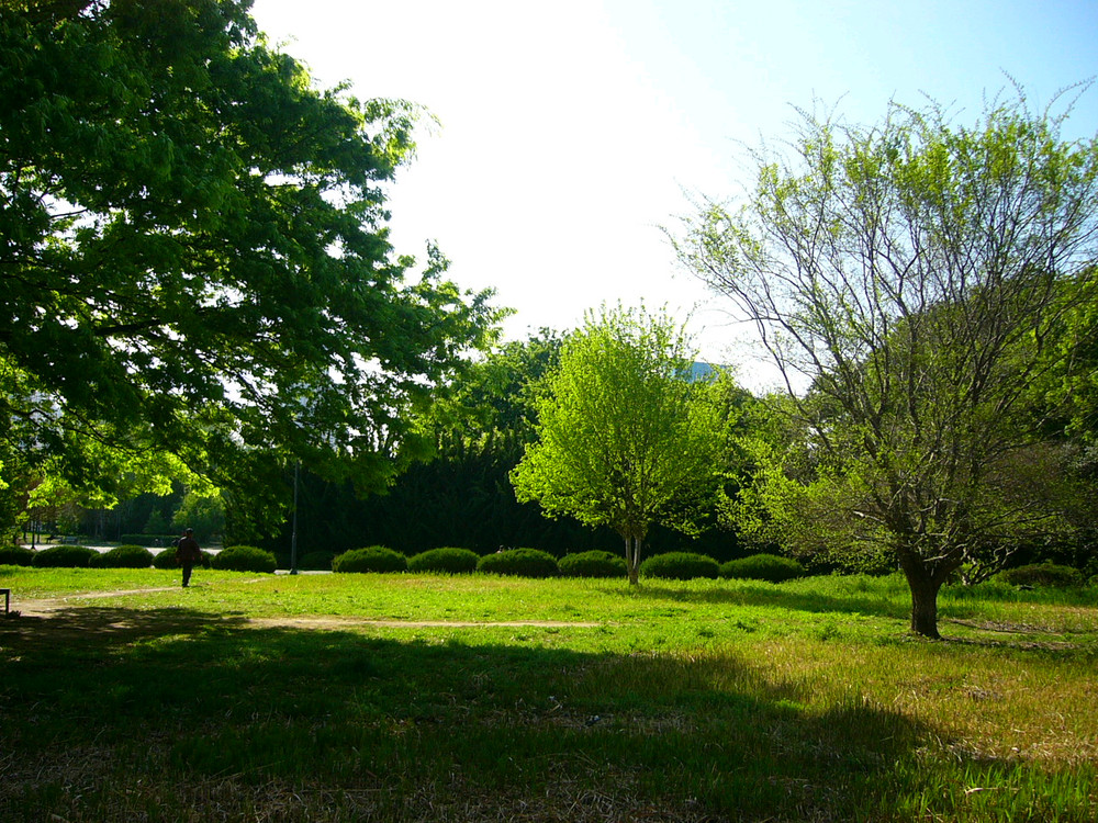 파나소닉 루믹스 DMC-F1 빈티지 디카 이미지