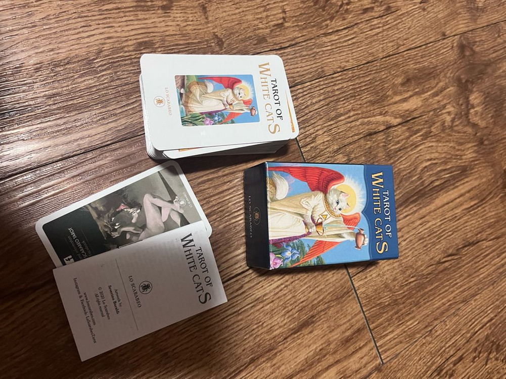 정품) 화이트 캣츠 타로카드 미니 이미지