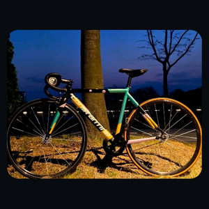 콘스탄틴 디스페랄 스페셜 2022 픽시 완차 급처 이미지