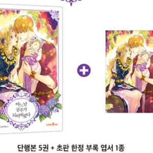 어느날 공주가 되어버렸다 5권 초판 엽서 로판 어공주 이미지