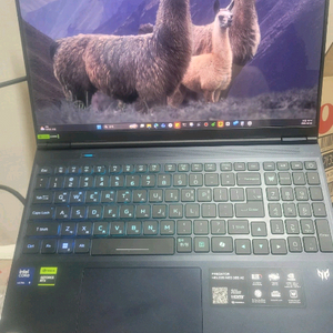 Acer Predator Helios Neo 16 Intel ultra9 275hx Rtx 5060 이미지
