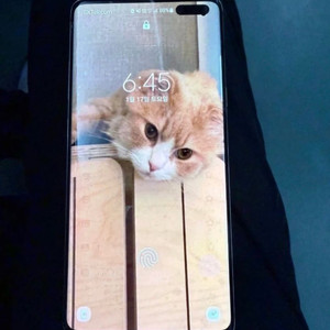S10 5G 자급제 판매요 이미지