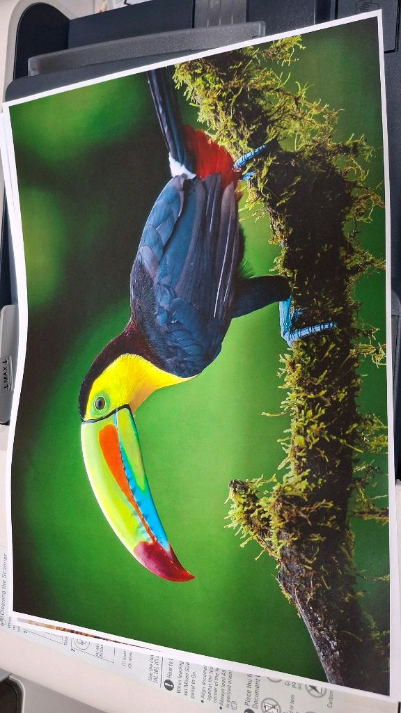 제록스 a3컬러양면레이저복합기 vi-c2271 6세대 풀옵션 이미지