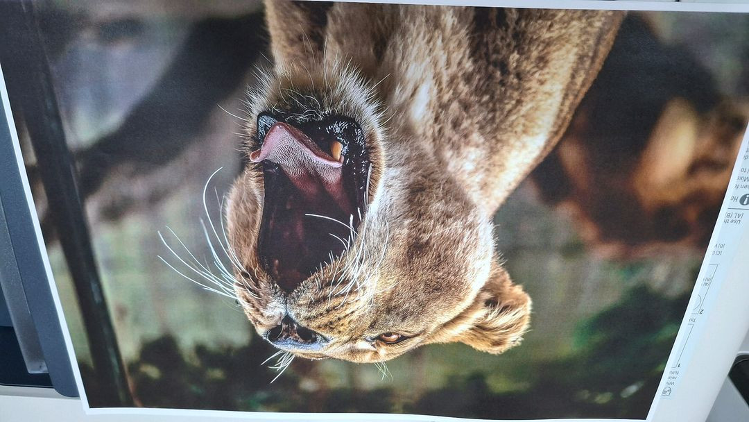 제록스 a3컬러양면레이저복합기 vi-c2271 6세대 풀옵션 이미지