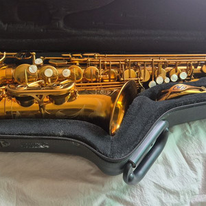 셀마 레퍼런스54 알토 색소폰 75만번대 이미지