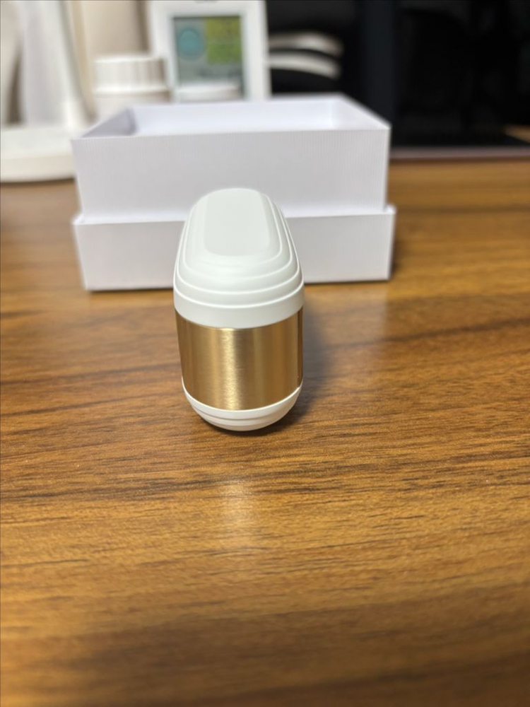 드비알레 제미니 2 오페라 (devialet gemnini 2 opera) 판매 이미지