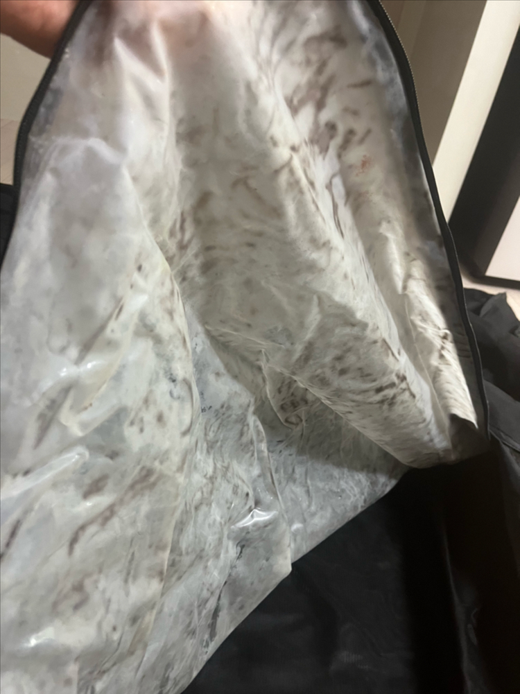 D4카캠핑 카텐트 꼬리텐트 이미지