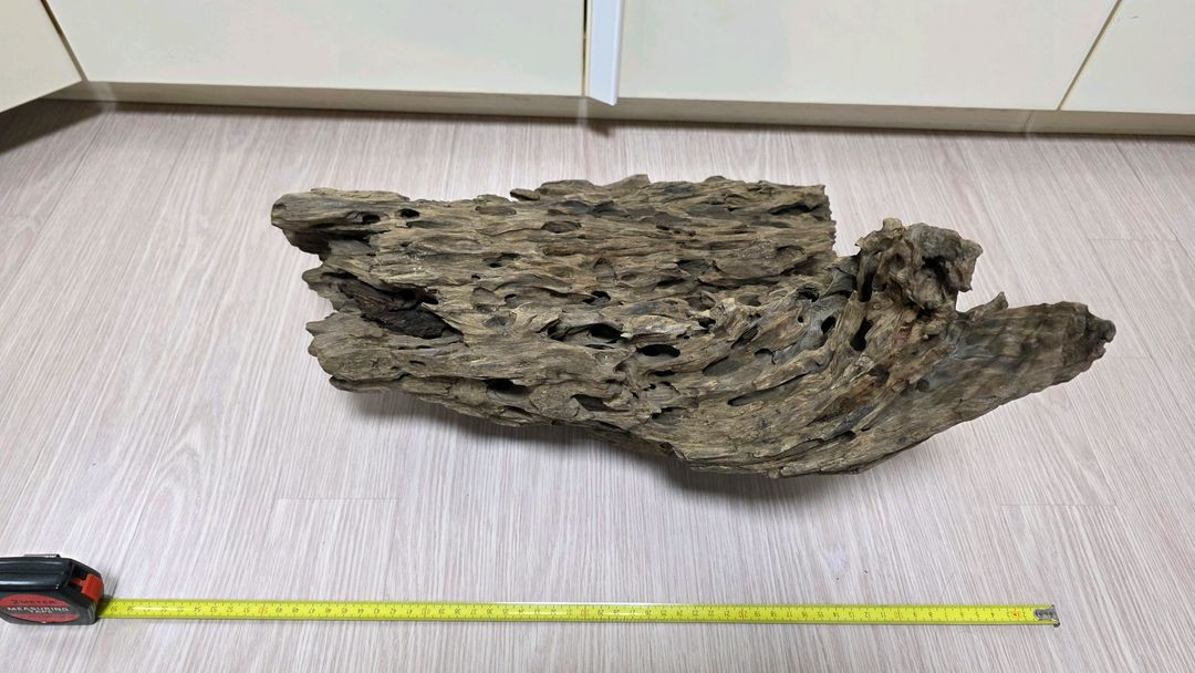대형 어항용 유목 이미지