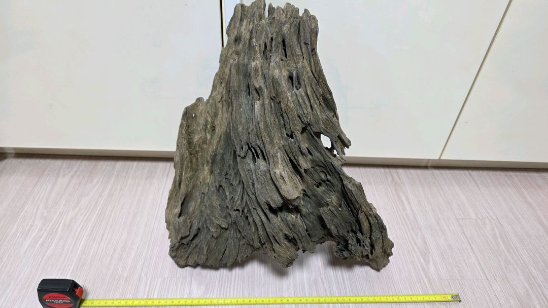 대형 어항용 유목 이미지