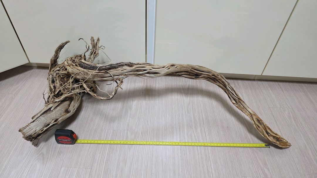 대형 어항용 유목 이미지