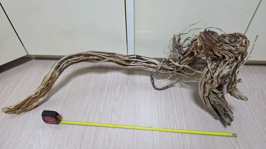 대형 어항용 유목 이미지