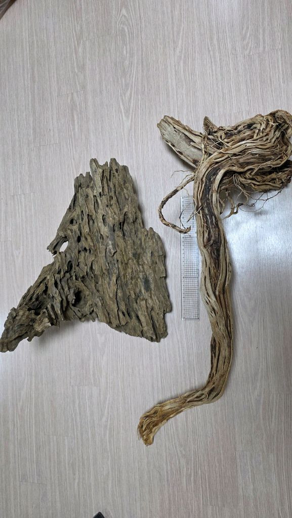 대형 어항용 유목 이미지