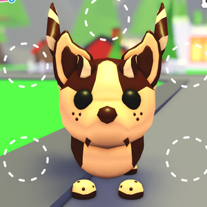 입양하세요 펫 타초박 팝니다. 이미지