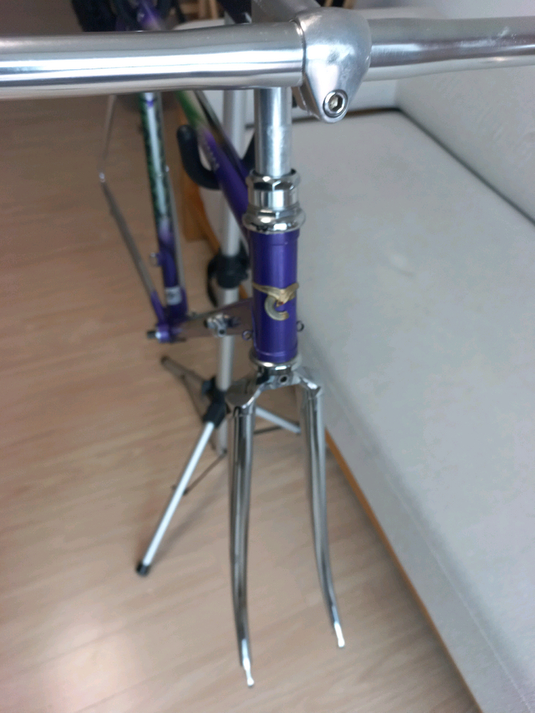 콩코드GIRO 클래식 사이클 반차 이미지