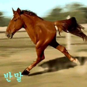 롤 아이디 팔아요 이미지