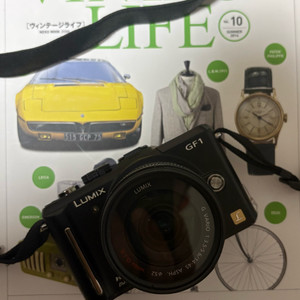 파나소닉 루믹스 GF1 판매합니다 이미지