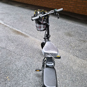 접이식 전기자전거 이미지