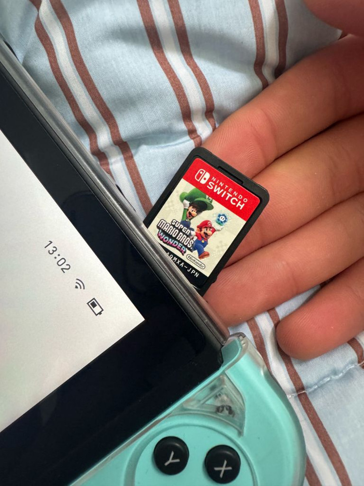 닌텐도스위치 모여봐요 동물의숲 에디션 이미지