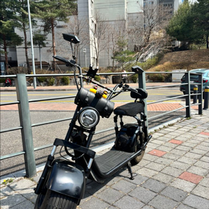 할리형 전기스쿠터 이미지