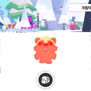 입양하세요 펫 메가네온 크립티드 판매합니다 이미지