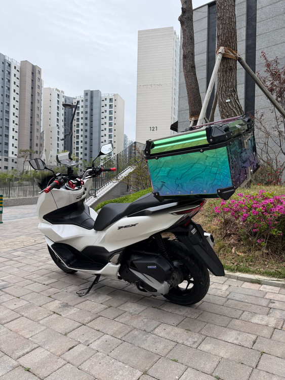 PCX 24년식 3만3천 / 320만원 이미지