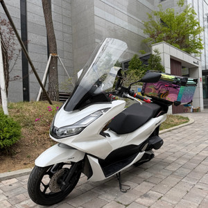 PCX 24년식 3만3천 / 320만원 이미지