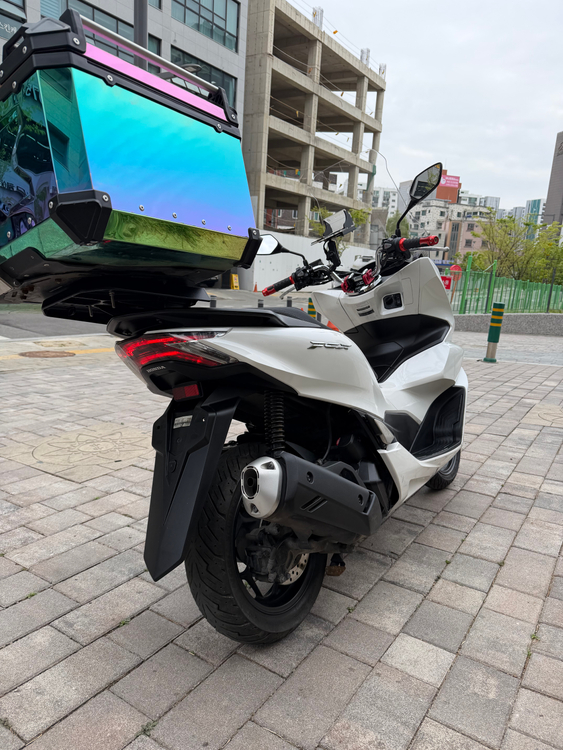 PCX 24년식 3만3천 / 320만원 이미지