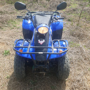 킴코 믹서125 엔진 조용해요 이미지