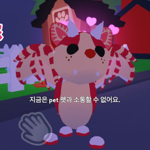 입양하세요 딸박 이미지