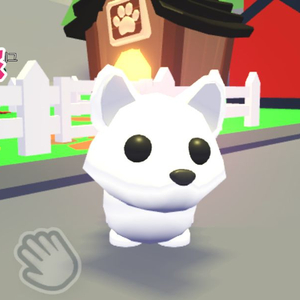 입양하세요 북여 이미지