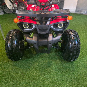 소형레온125cc ATV 사발이 팔아요 이미지