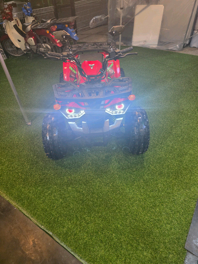 소형레온125cc ATV 사발이 팔아요 이미지