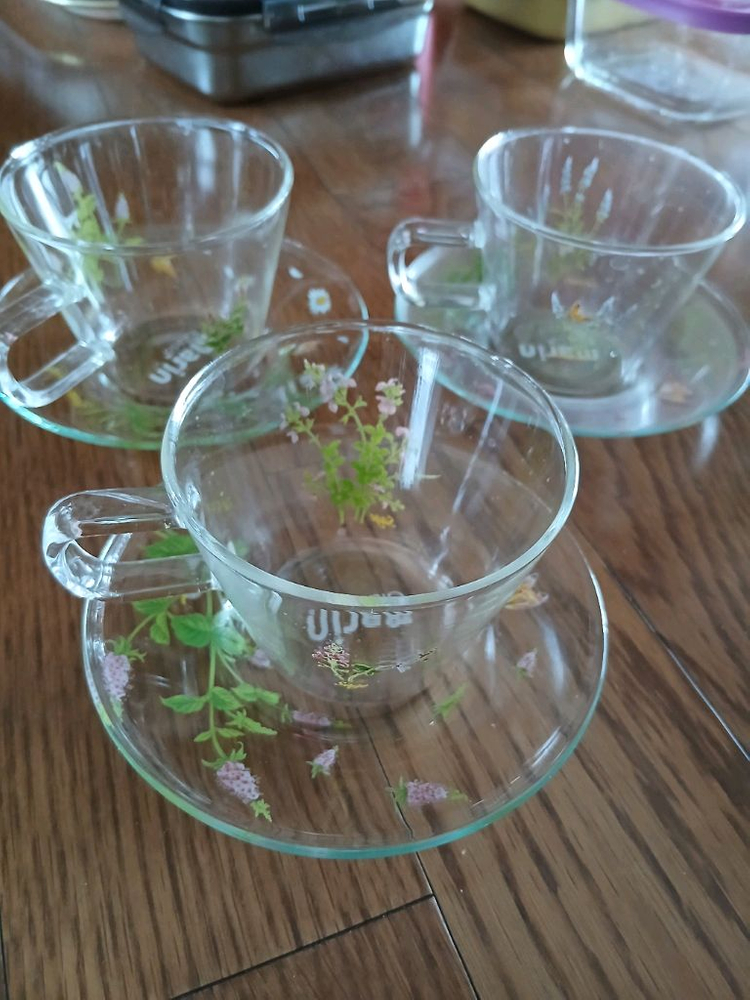 마린글라스 허브포시즌 세느홍차잔3P 이미지