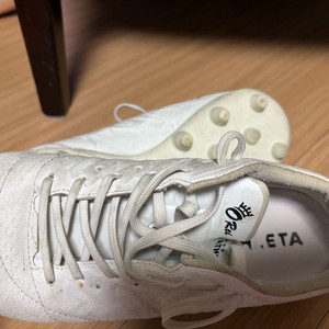 아슬레타 인조잔디 270 이미지