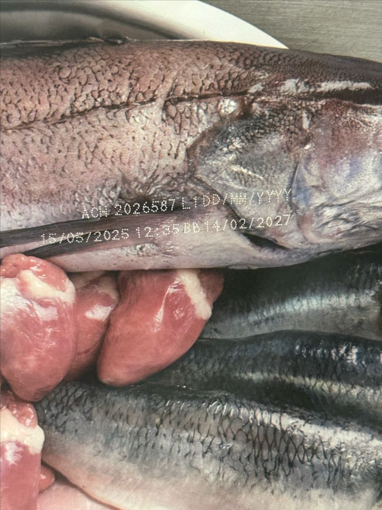 (미개봉) 오리젠 시니어 강아지 사료 6kg 이미지