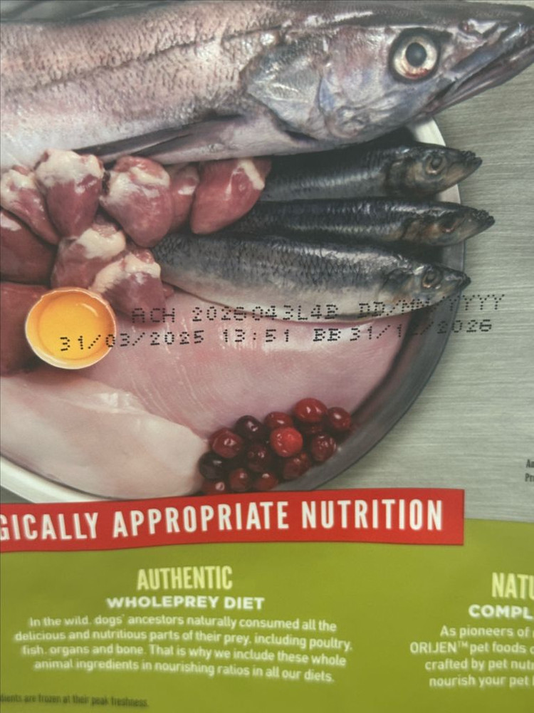 오리젠 시니어 강아지 사료 1.6kg 이미지