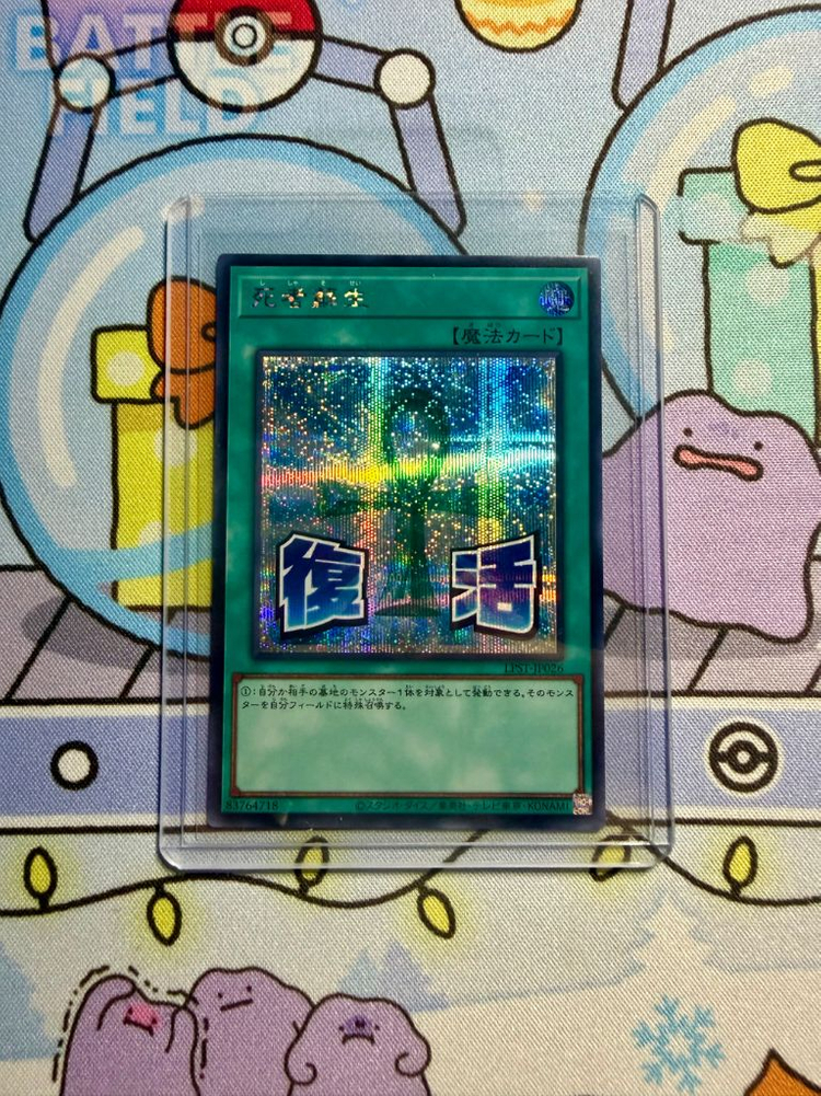 유희왕 카드 일괄 판매 이미지