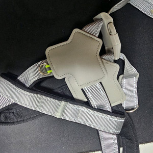 강아지 Y자형 중형견 하네스 이미지