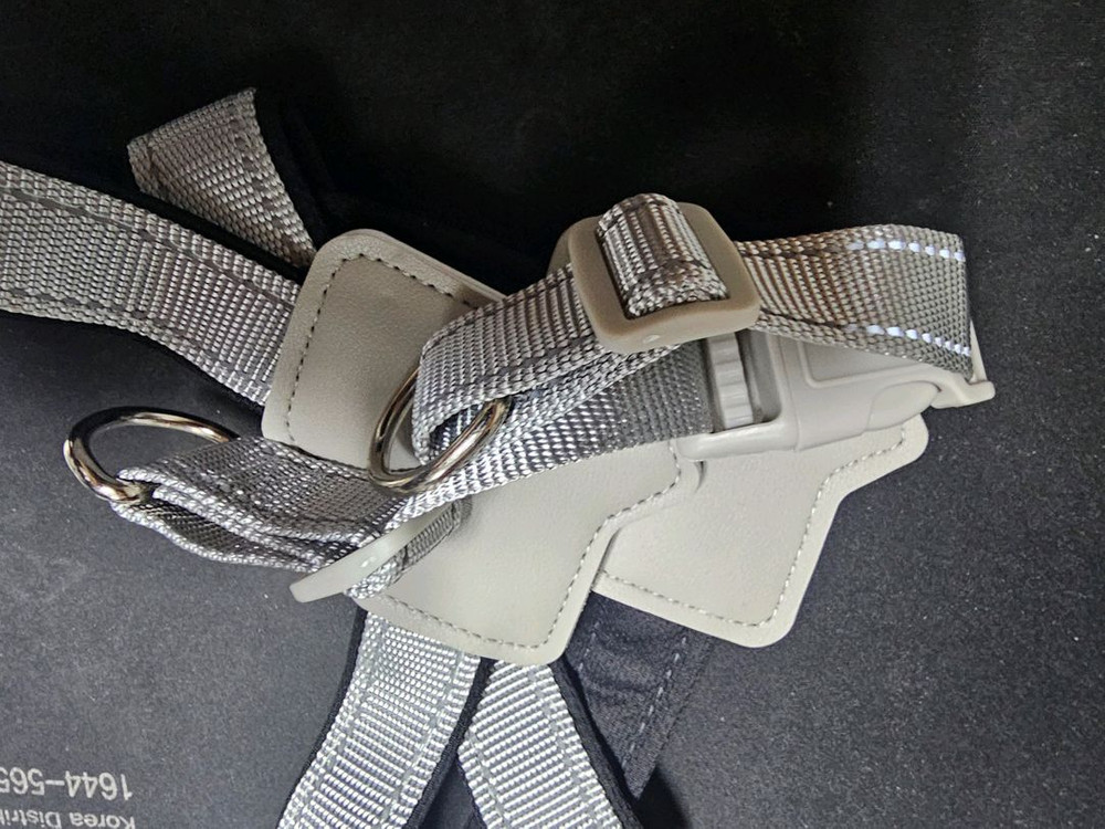 강아지 Y자형 중형견 하네스 이미지