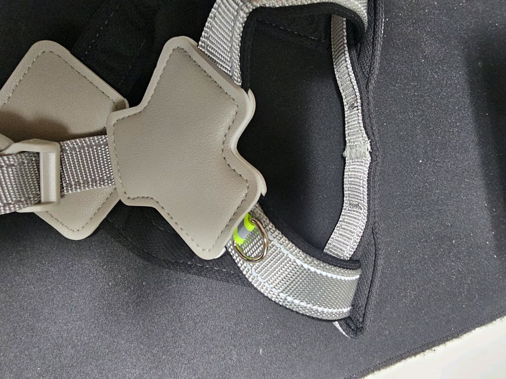 강아지 Y자형 중형견 하네스 이미지