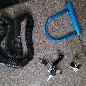 비아지오 전기자전거 V5 이미지