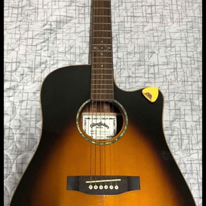 오봉기타 o-363sce ( 픽업내장 ) 이미지