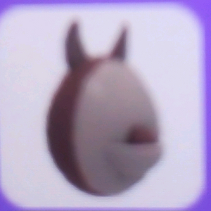 입양하세요 호주에그 구해요 이미지