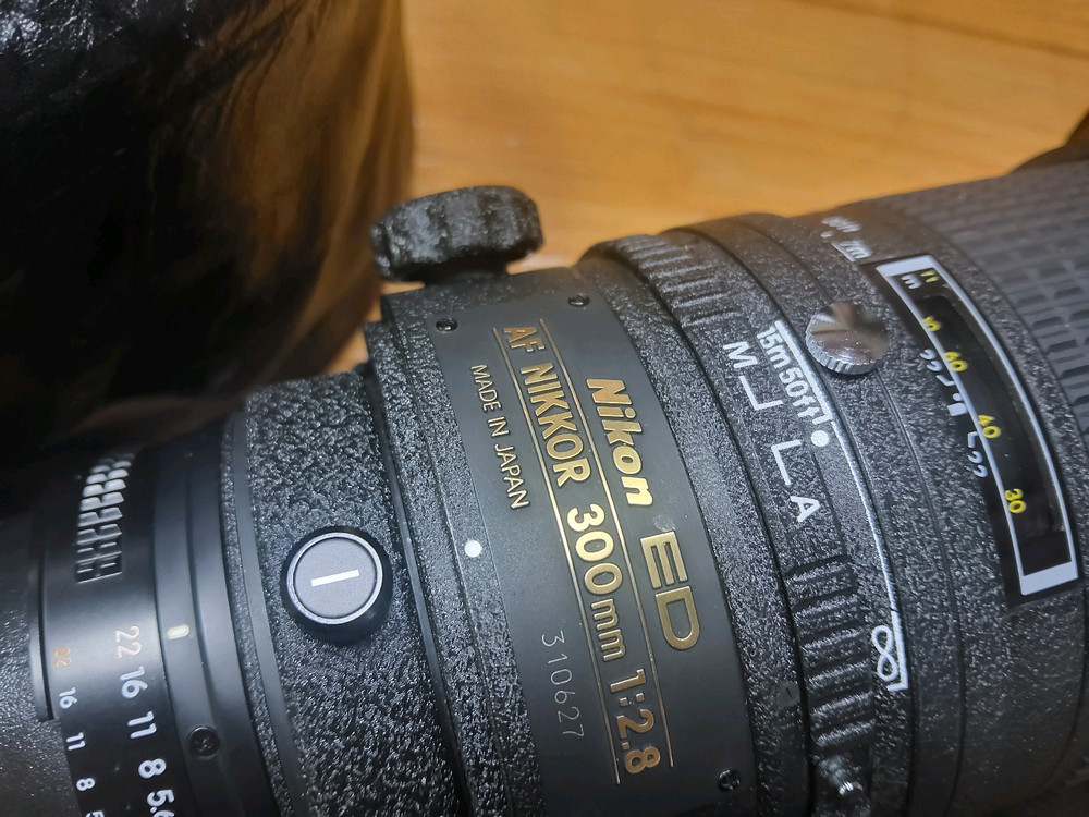 니콘 AF 300mm f2.8 대포 이미지