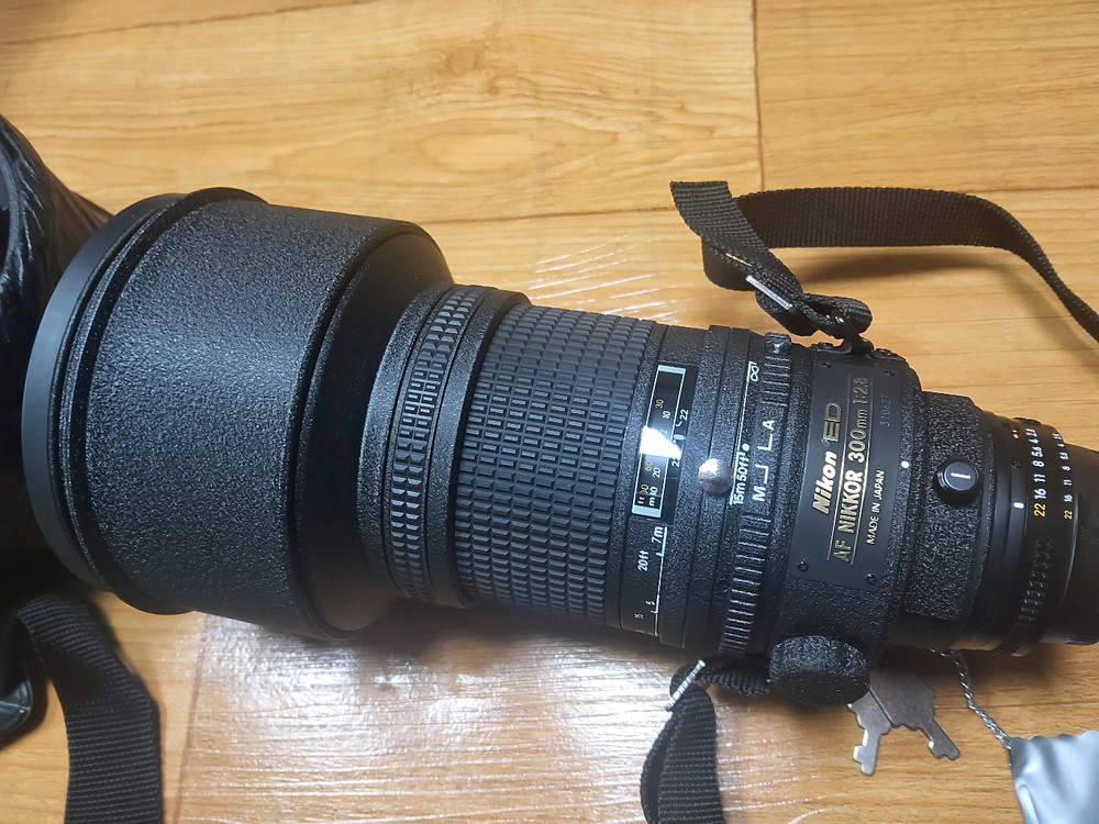 니콘 AF 300mm f2.8 대포 이미지