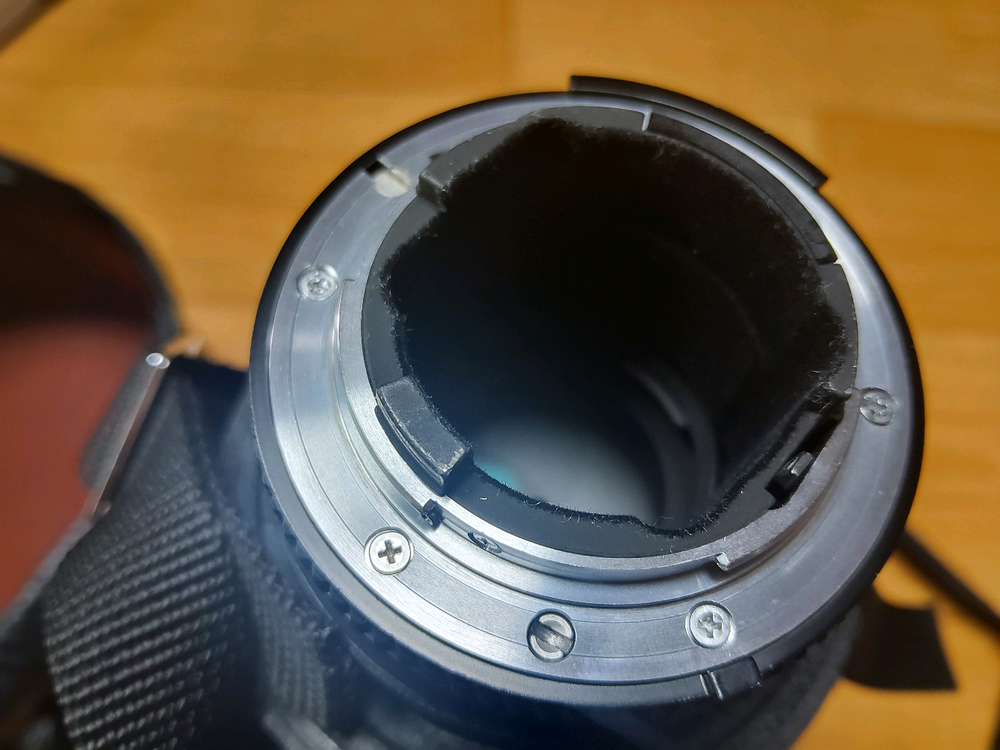 니콘 AF 300mm f2.8 대포 이미지