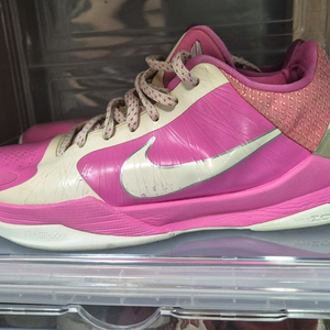 코비 5 kay yow 275 (겨|거시 네고) 이미지